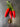 Three bright red Heirloom Tabasco peppers with green stems rest on a metallic surface beside a US penny for size comparison.