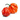 Two vibrant orange Scotch Bonnet peppers with glossy, wrinkled skin and green stems on a white background—ideal for adding bold, fiery heat to your favorite dishes.