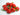 A group of glossy, bright red Moruga peppers with green stems rests on a white surface. These wrinkled, bumpy peppers are famous for their intense heat and bold tropical flavor.